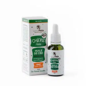 Huile CBD pour petit chien