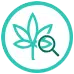 Sélection CBD