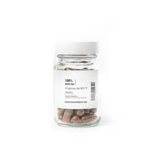 Capsules de reishi bio