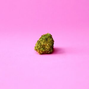 Amnesia Haze CBD
